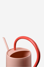 Scalloped Indoor Watering Can