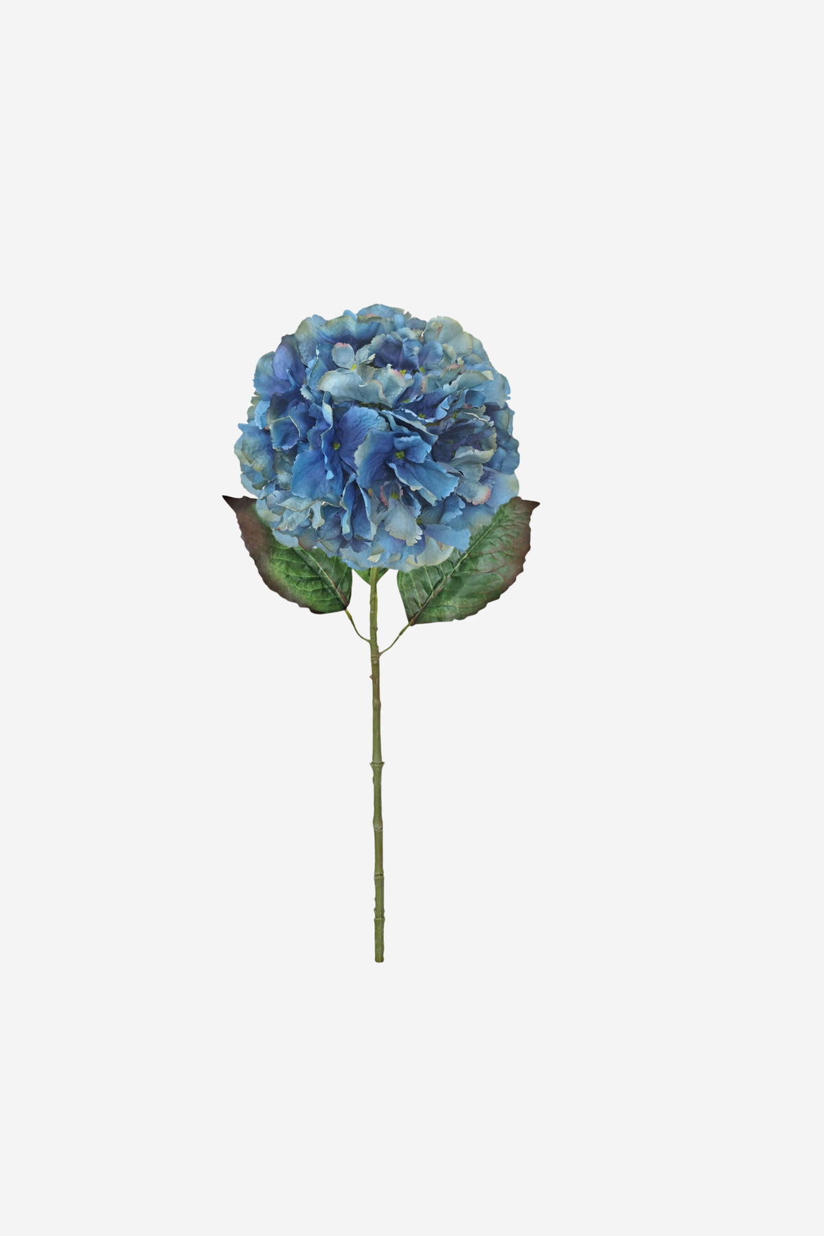 Ball Hydrangea - Sky Blue