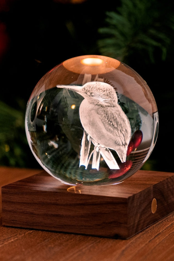 Kingfisher 3D Light - Walnut Base
