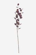 Two Tone Eucalyptus - Burgundy