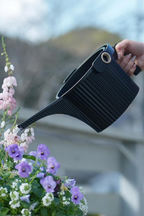 Beetle Watering Can