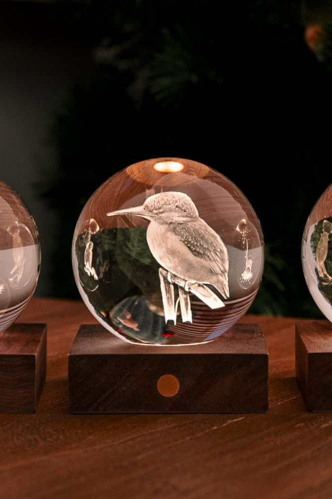 Kingfisher 3D Light - Walnut Base