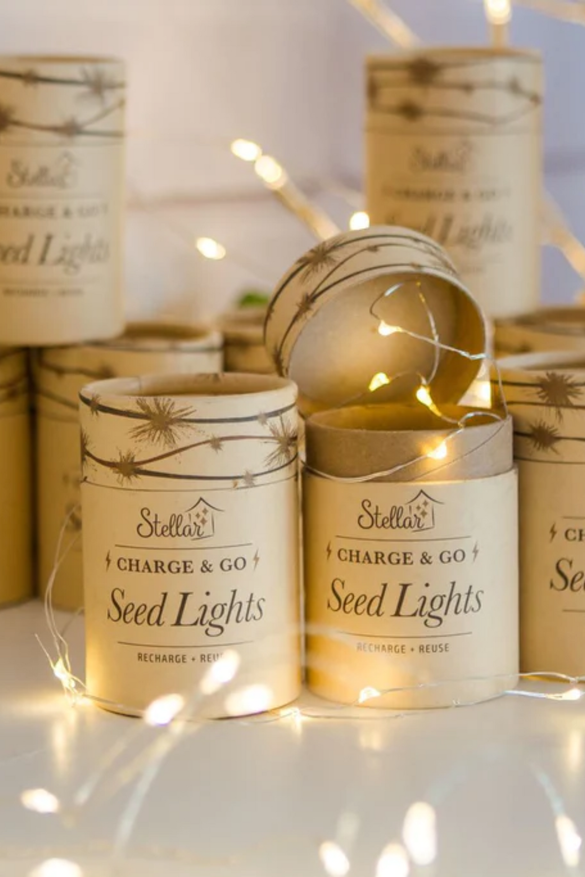3 Meter Rechargeable Seed Lights - Silver