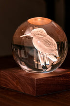 Kingfisher 3D Light - Walnut Base