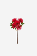 Pohutukawa Bundle – Red
