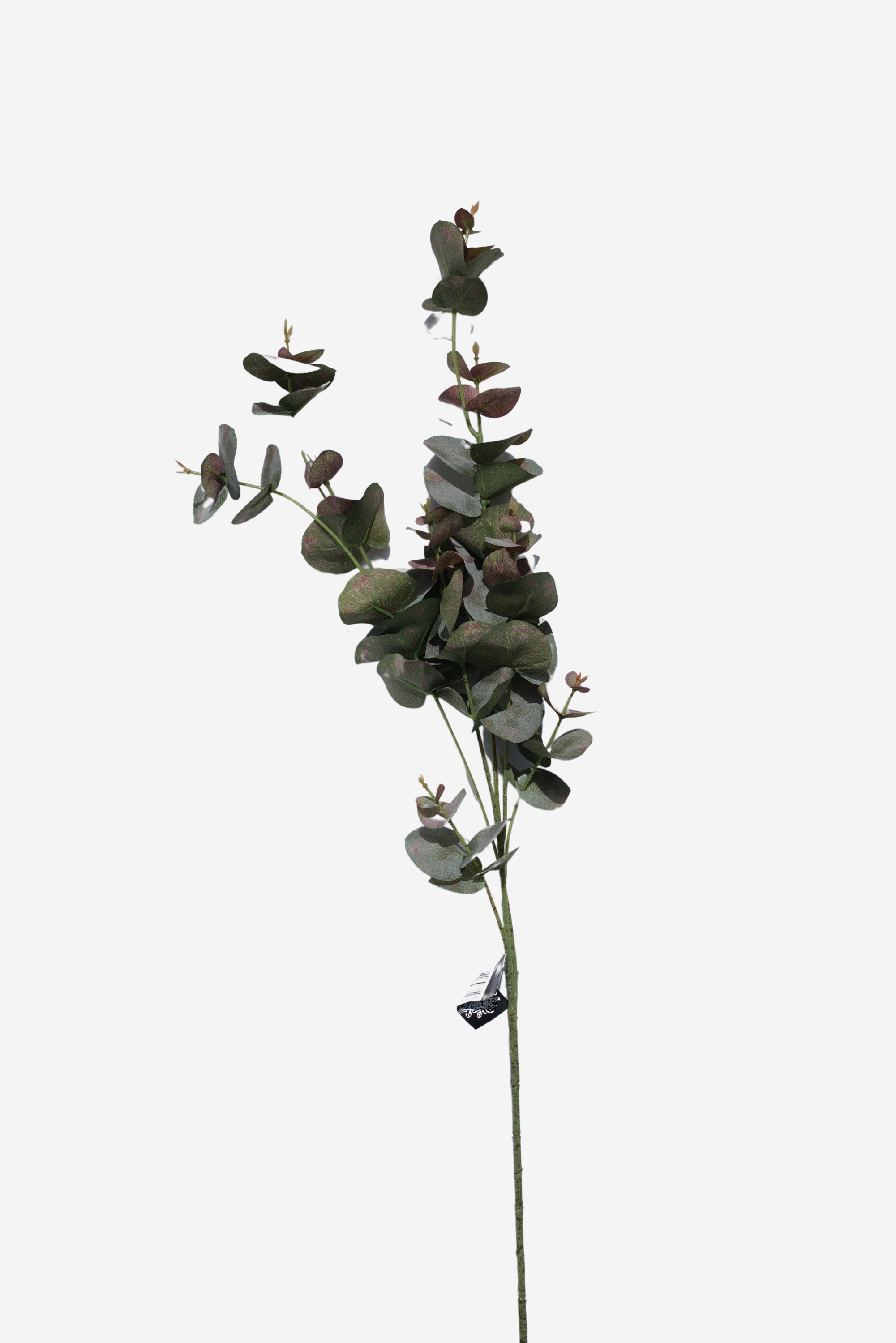 Budding Gum - Medium