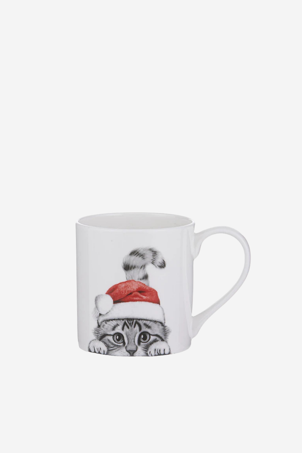 Santa Paws Mug - Chester the Cat