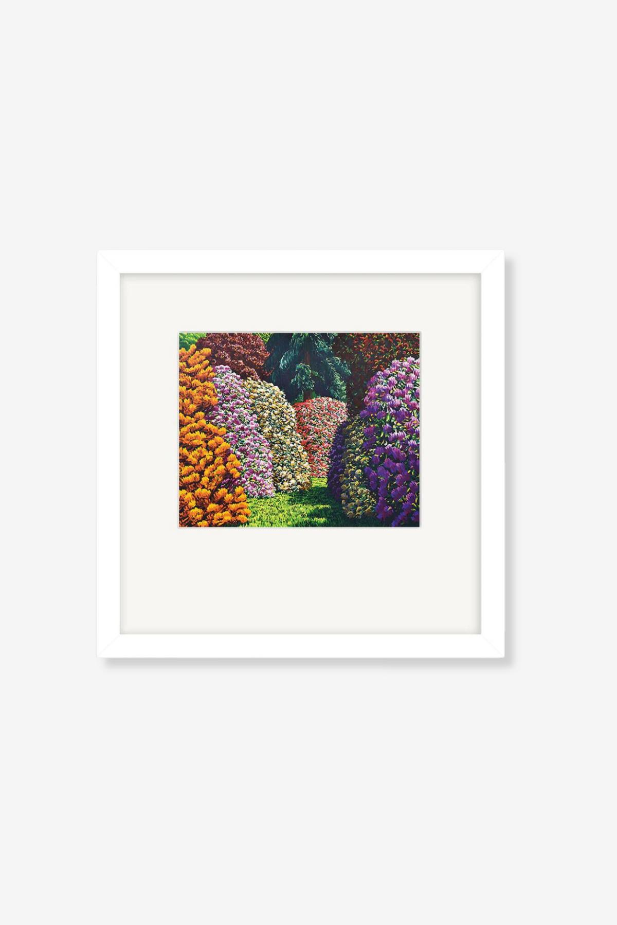 Karl Maughan Art Print - Cambridge