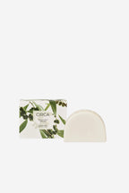 Circa Scent Stems Holder