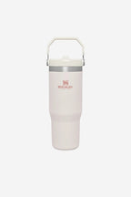 Iceflow Flip Straw 30oz