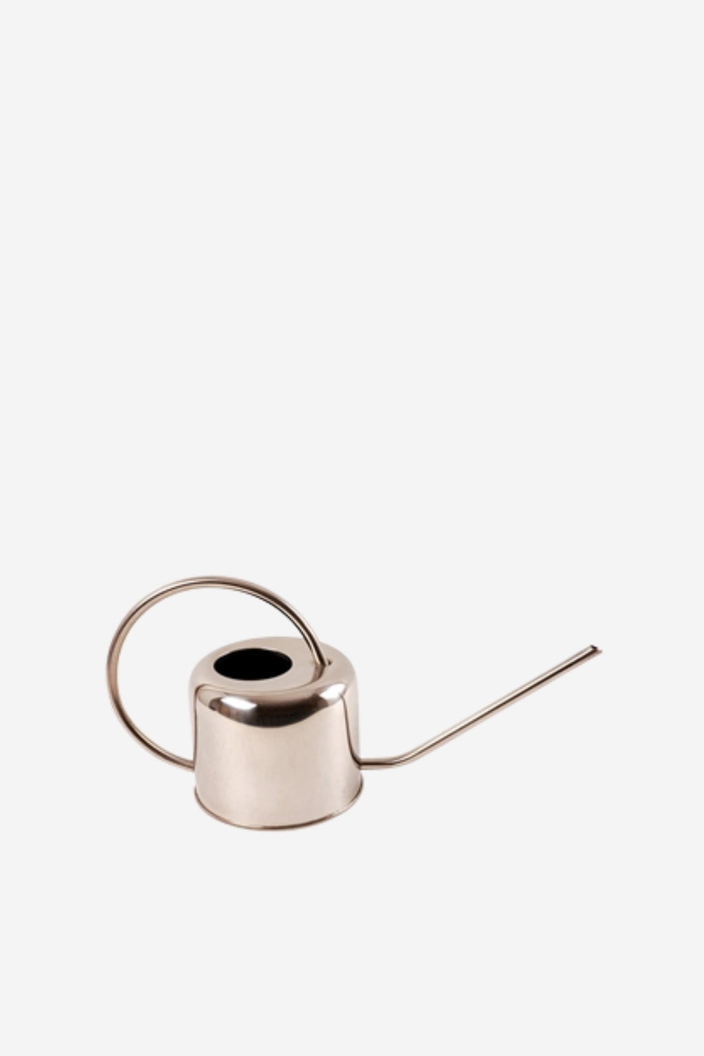 Stainless Steel Watering Can
