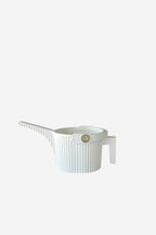 Beetle Watering Can