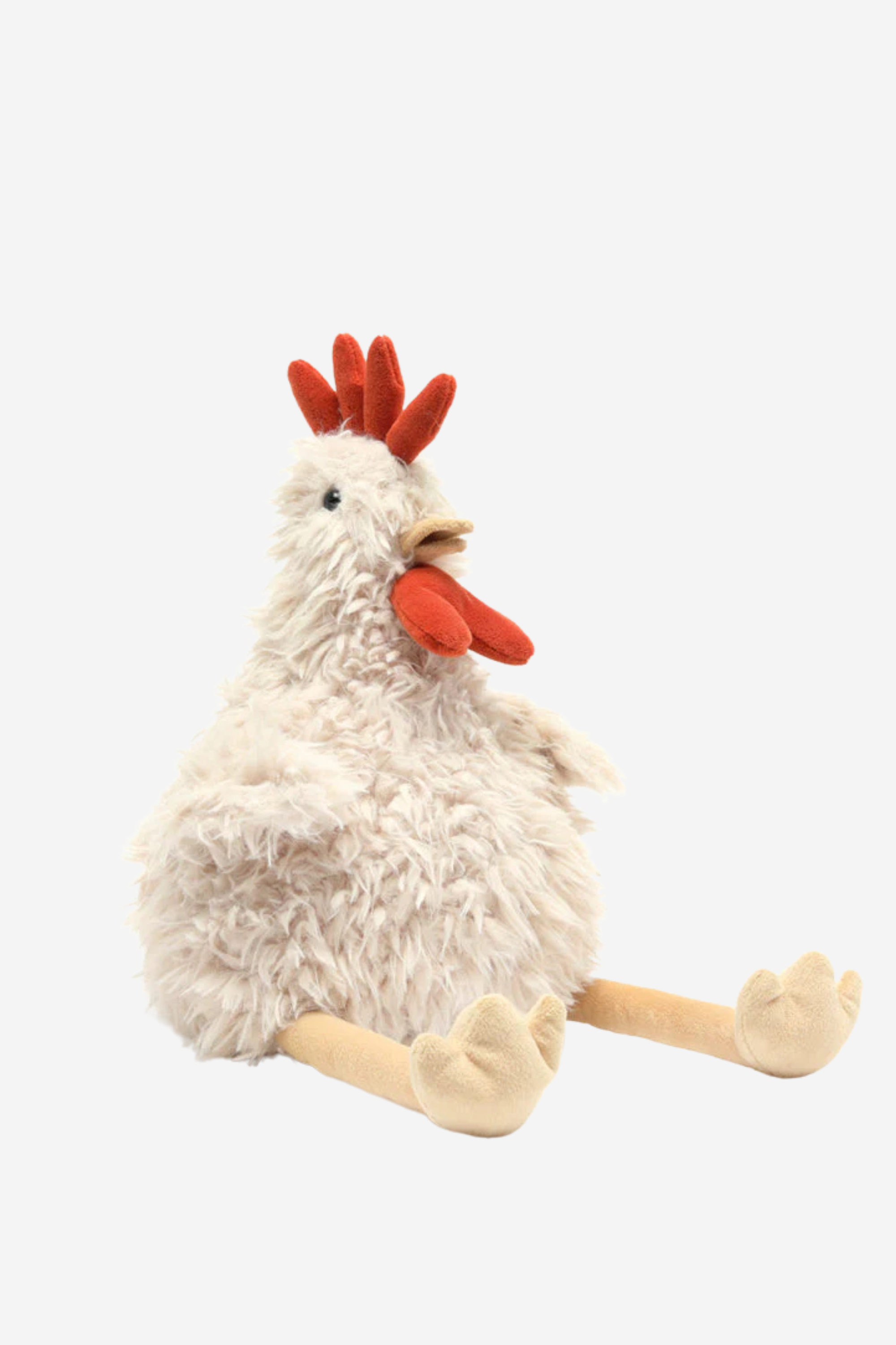 Roy the Rooster
