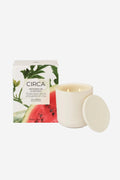 Circa Candle - Watermelon & Coconut