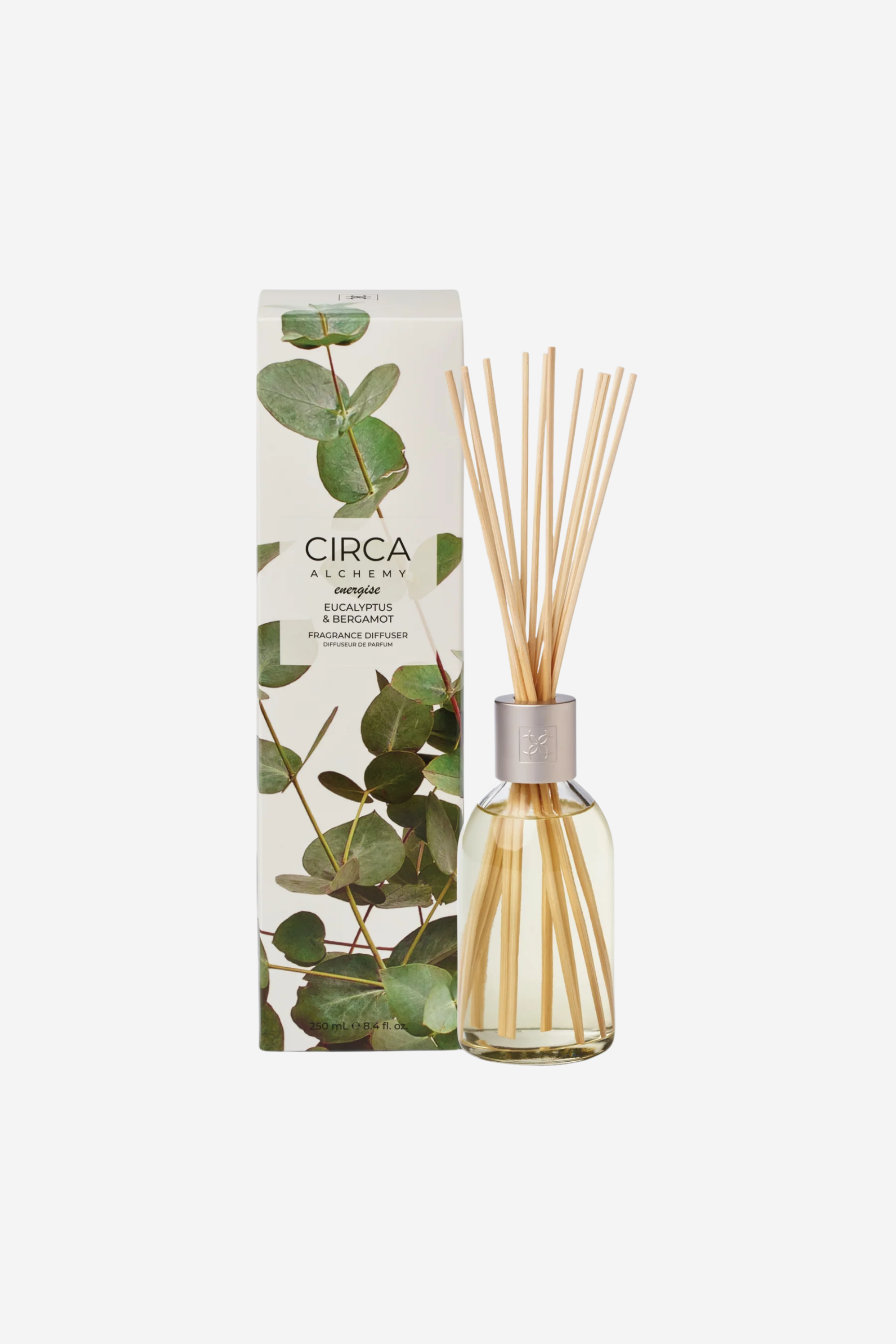 Circa Alchemy Diffuser - Eucalyptus and Bergamot