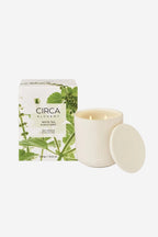 Circa Alchemy Candle - White Tea & Wild Mint