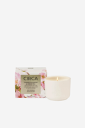 Circa Cherry Blossom and Green Tea