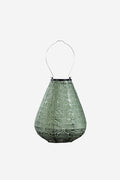 Lantern Tulip 20cm