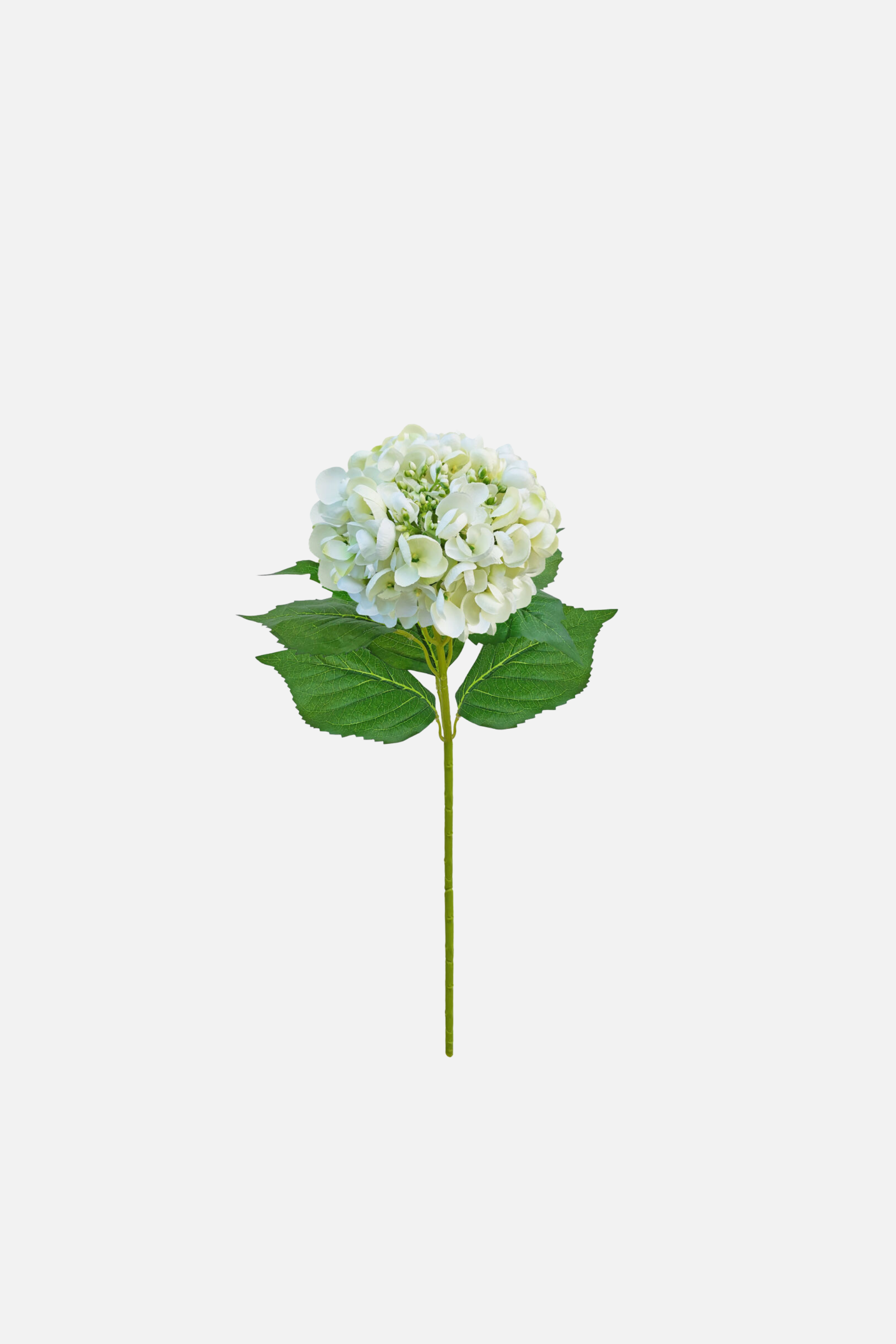 Budding Hydrangea Large – Cream/Green