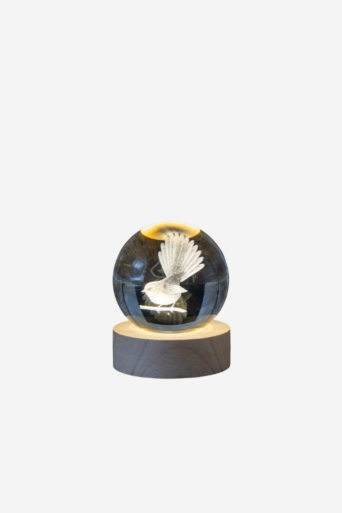 LED Globe