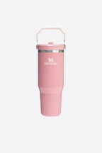 Iceflow Flip Straw 30oz