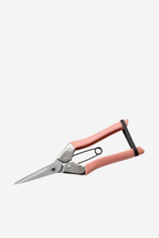 Collectors Snips Fruit and Flowers - Blush