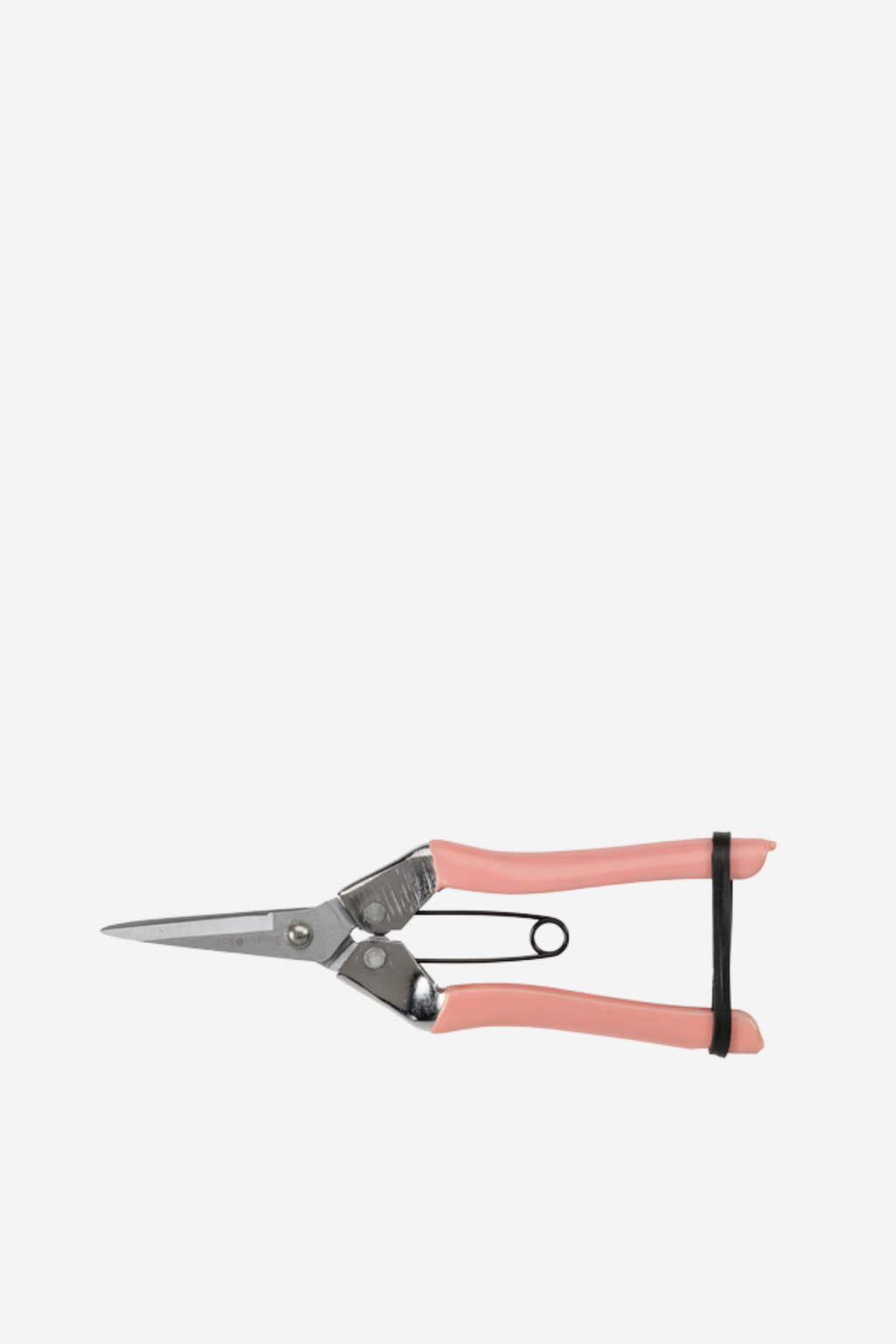 Collectors Snips Fruit and Flowers - Blush