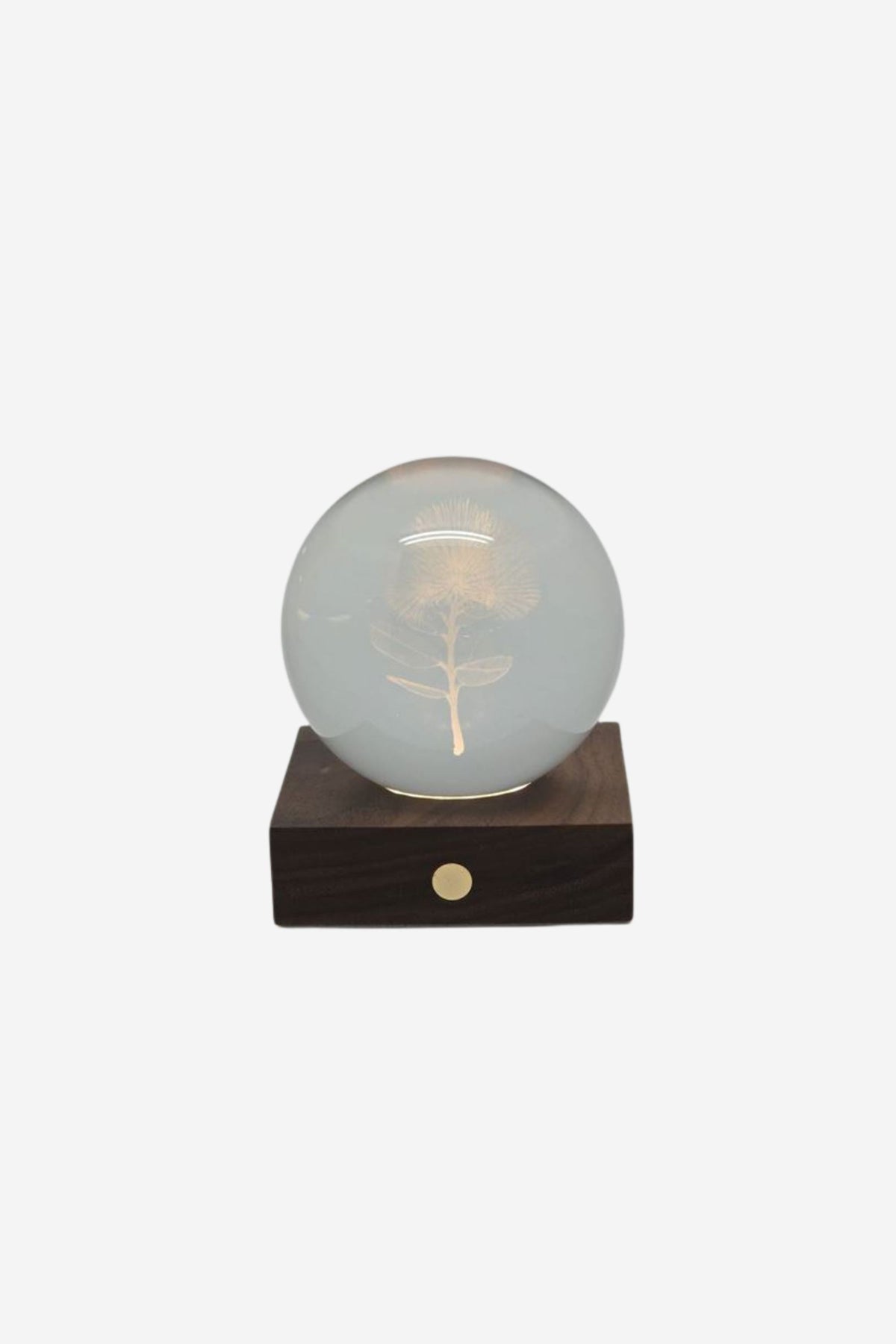 Pohutukawa 3D Light - Walnut Base