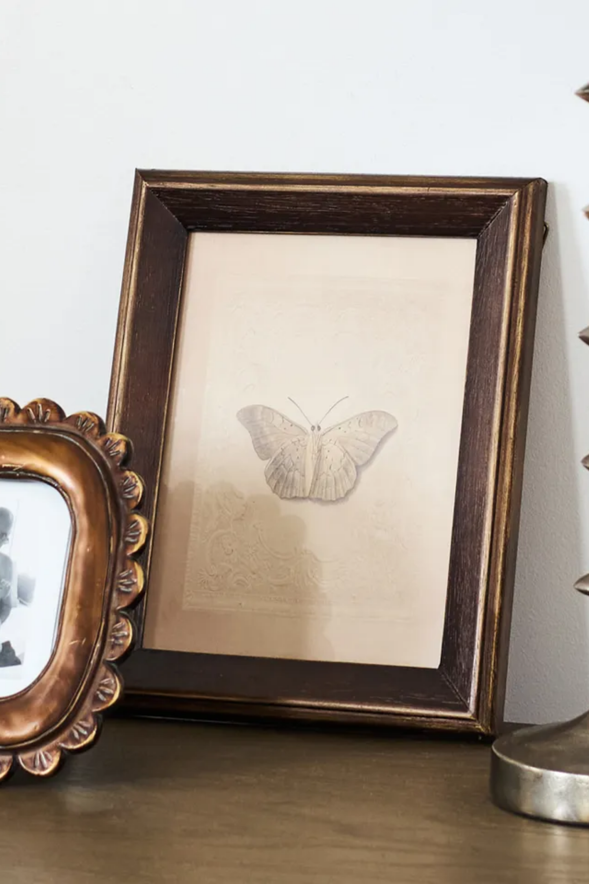Butterfly Study Wall Art