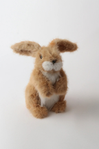 Oxford Bunnies