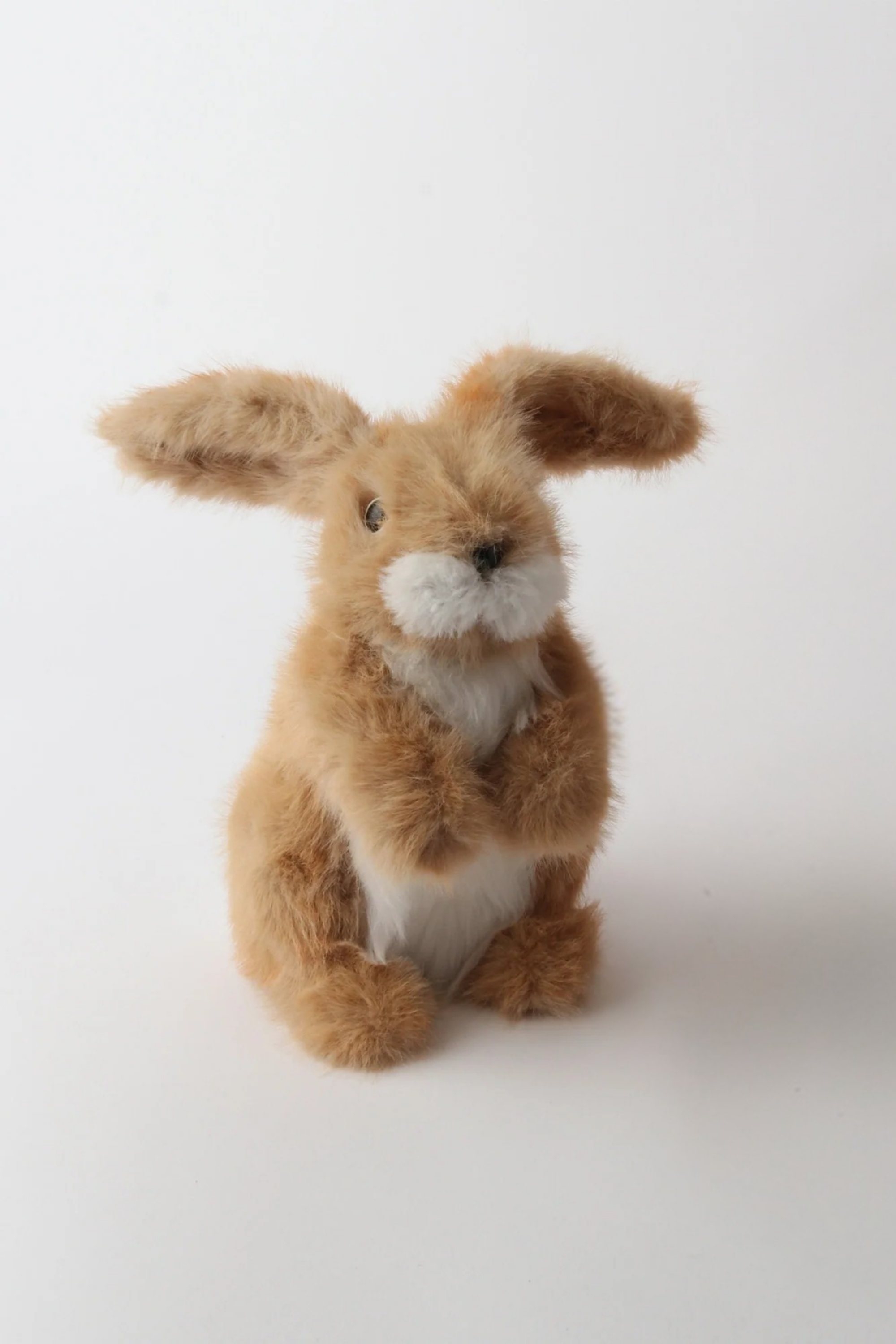 Oxford Bunnies
