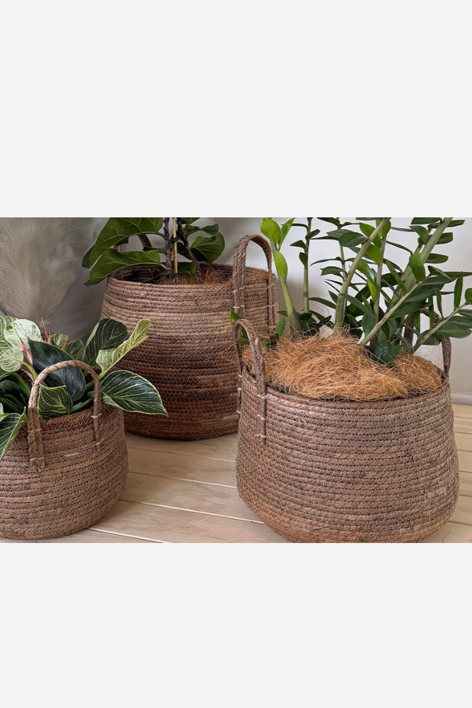 Nala Planter Basket W/ Handles
