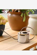 Stainless Steel Watering Can