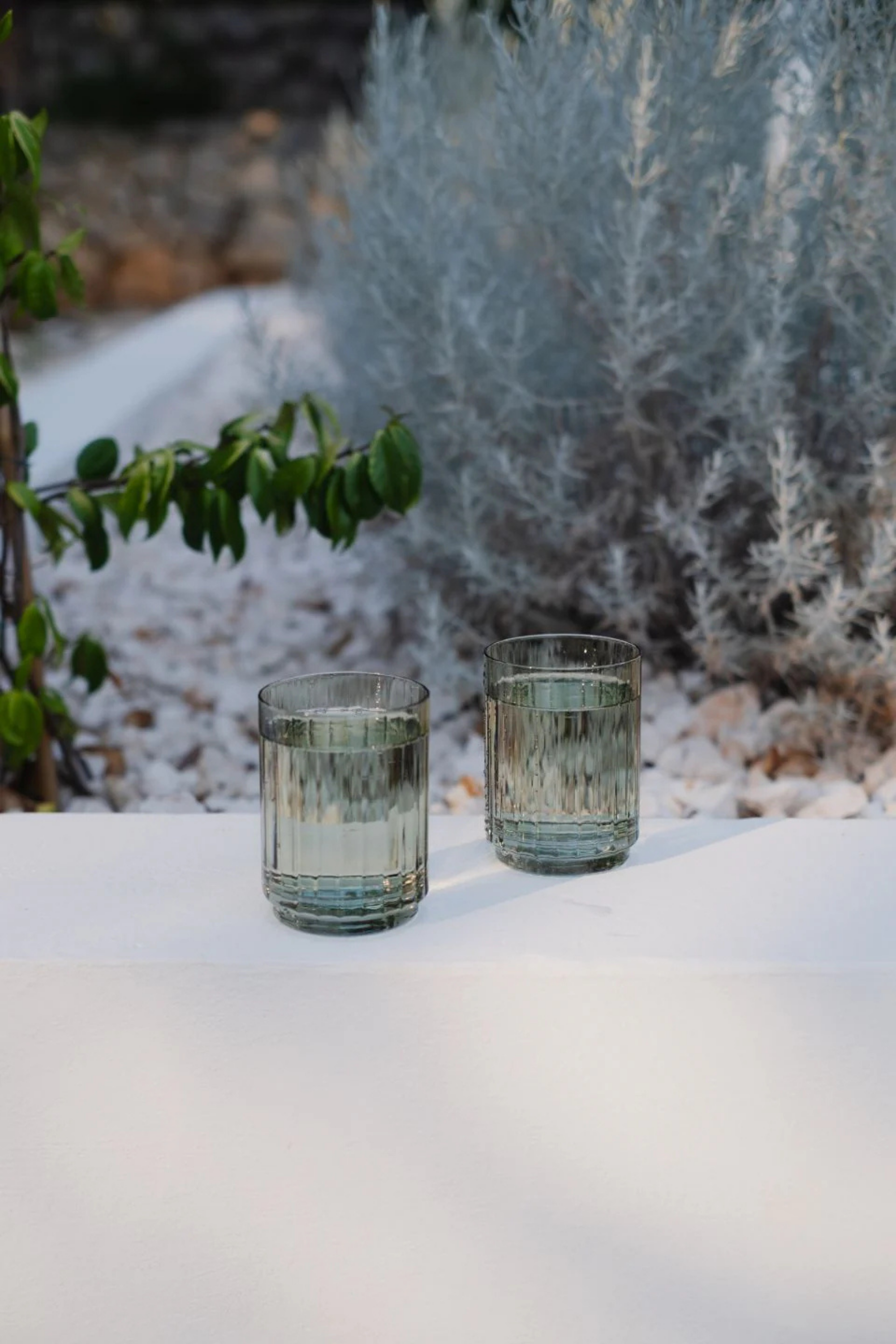 Olive Green Ribbed Tumblers - Set of 2