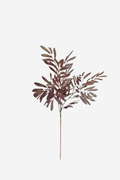 Ruscus Leaf - Burgundy