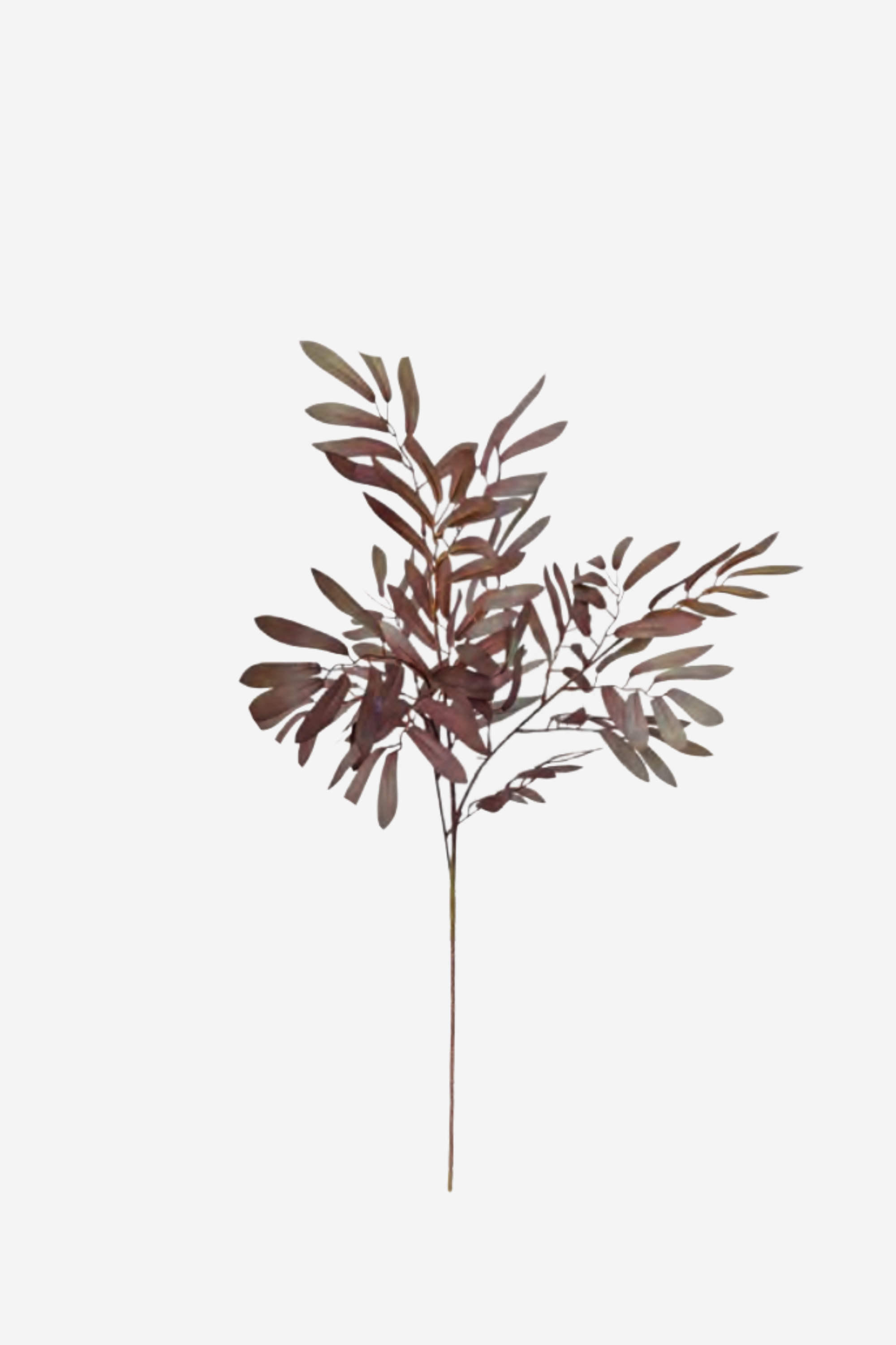 Ruscus Leaf - Burgundy