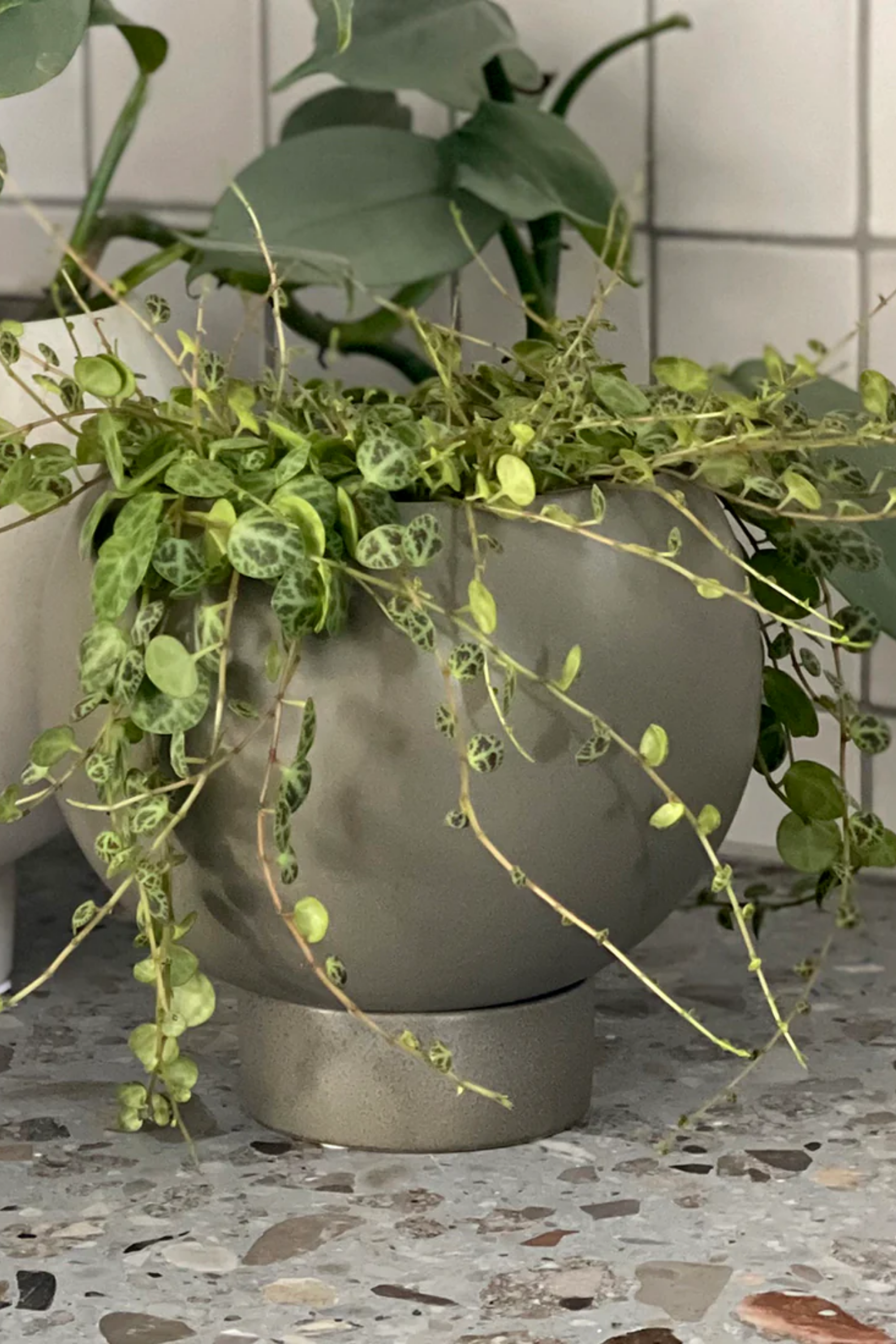 Orbit Plant Pot - Medium