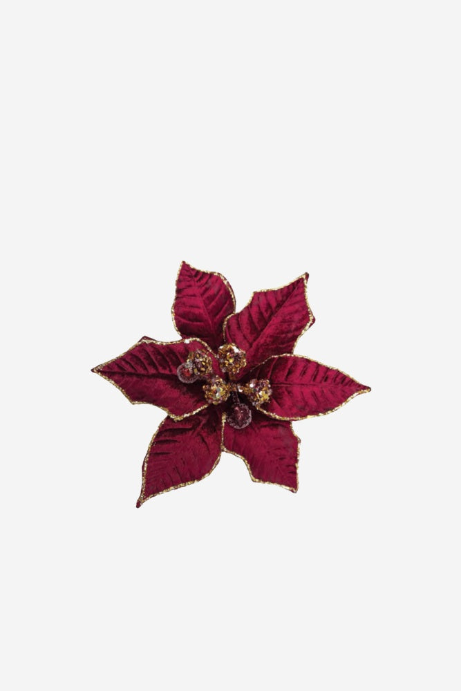 Medium Jewelled Poinsettia - Wine