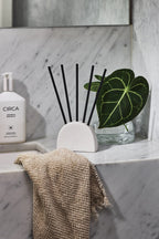 Circa Scent Stems Holder