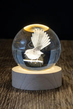 LED Globe