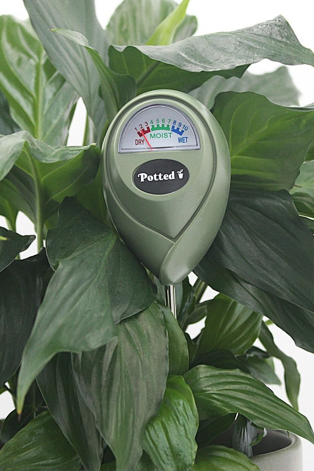 Indoor Mosisture Meter