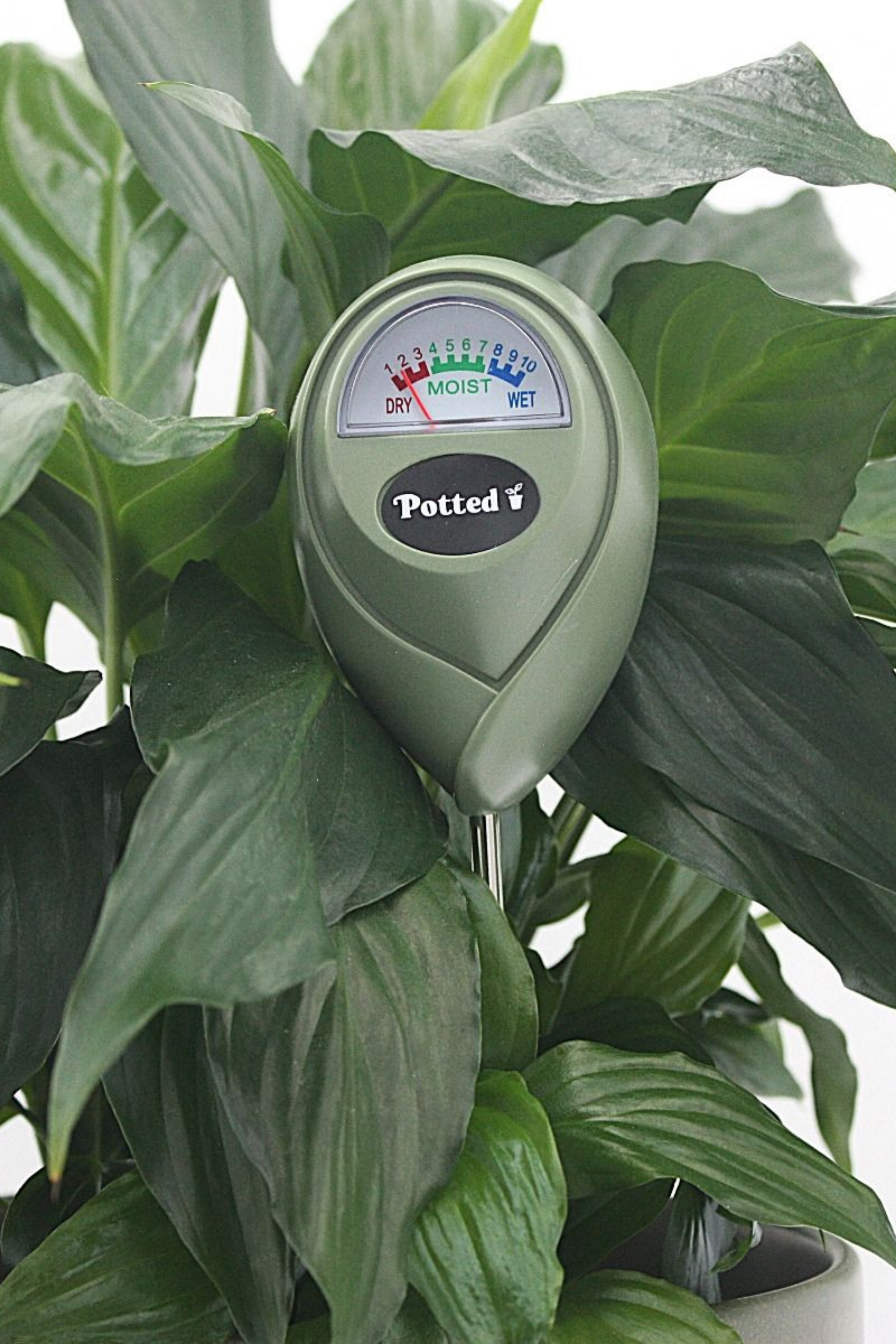 Indoor Mosisture Meter