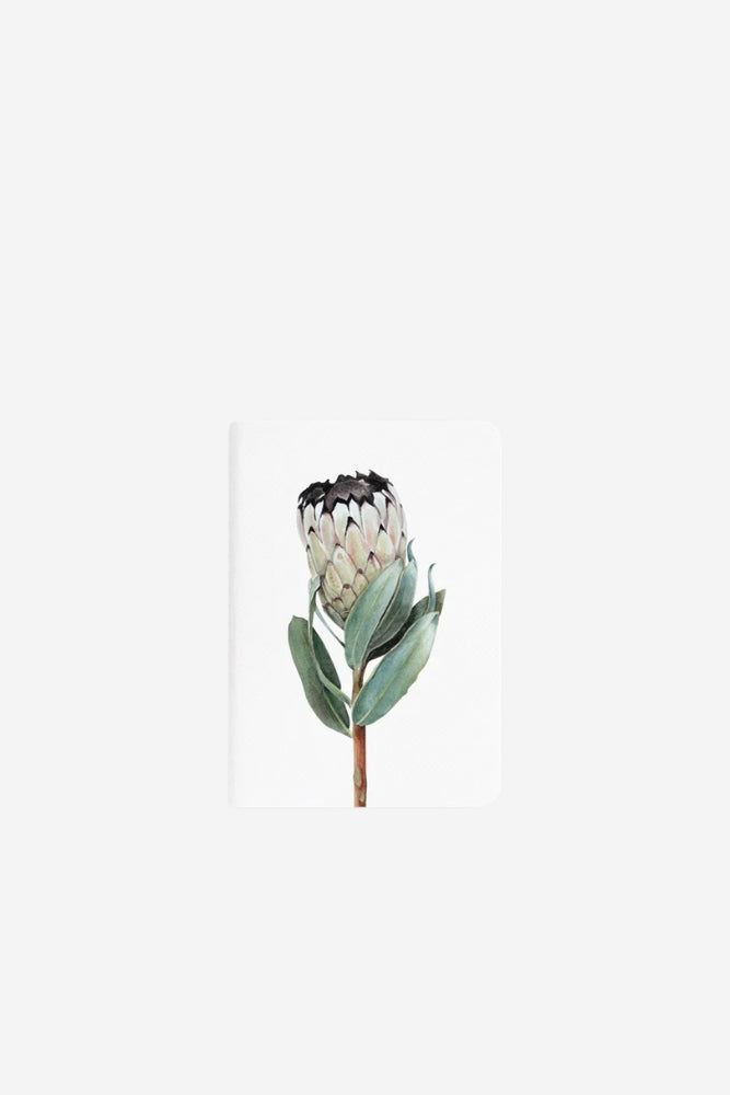 Pocket Notebook - Protea