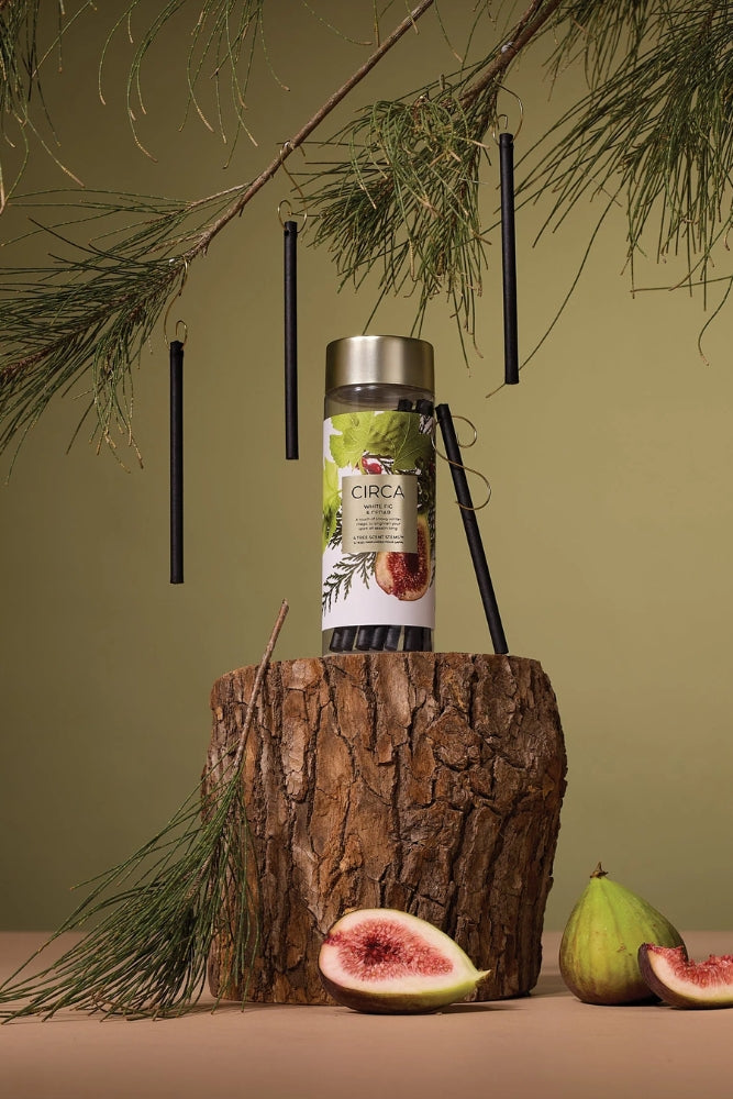 Christmas Tree Scent Stems - White Fig & Cedar