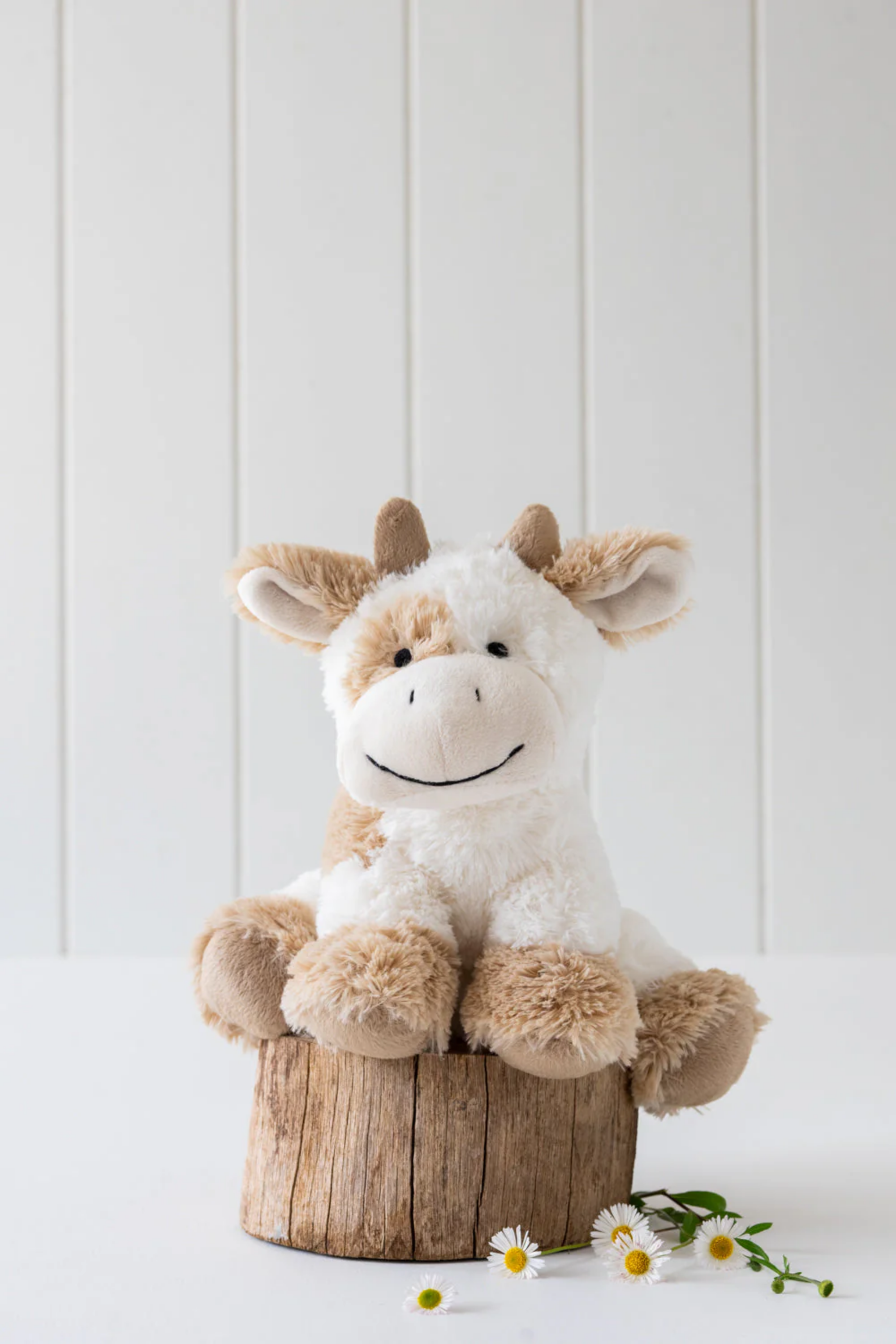 Coco The Cow - Cream