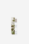 Circa Alchemy Scent Oil - Eucalyptus and Bergamot