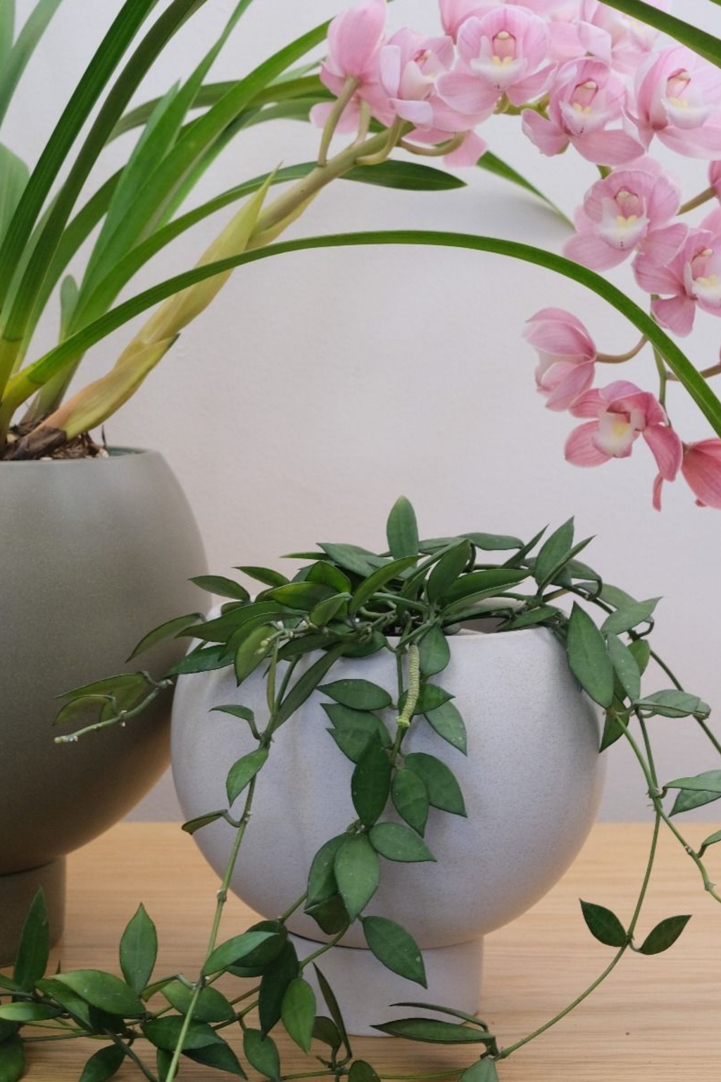 Orbit Plant Pot - Small