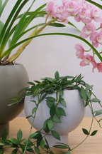 Orbit Plant Pot - Small