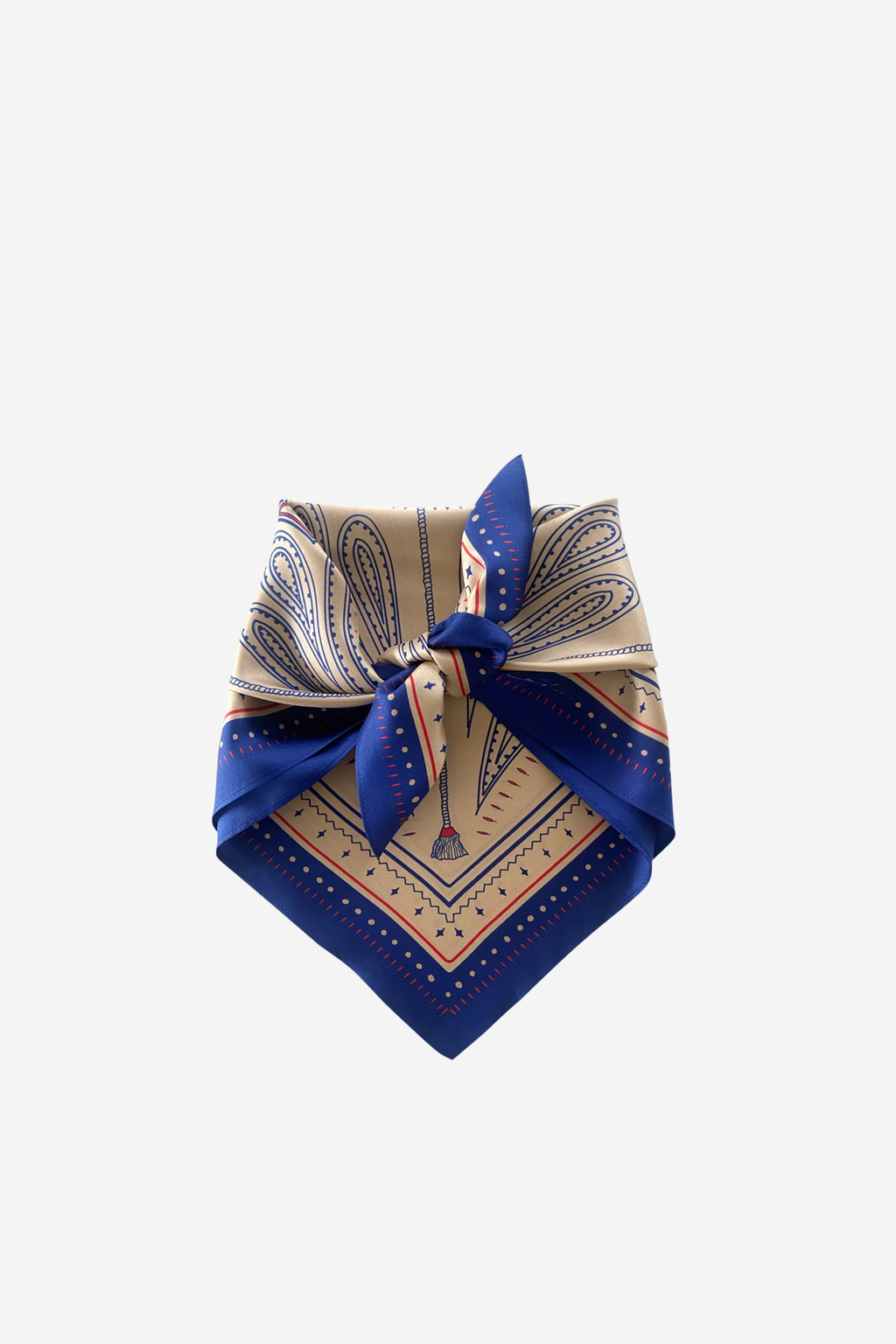 Dark Hampton - Petite Silk Scarf
