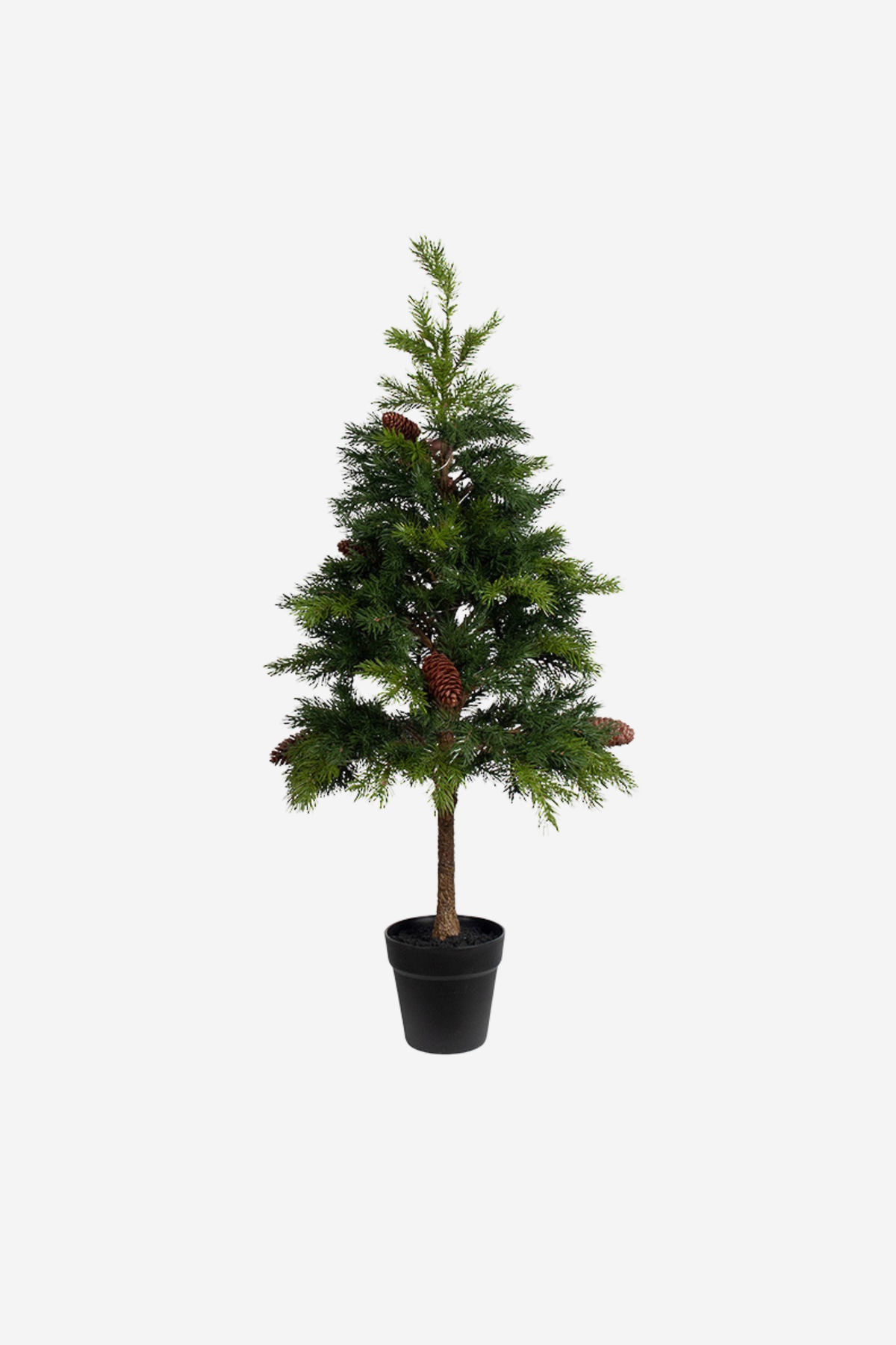 Pine Potted Xmas Tree with LED Lights